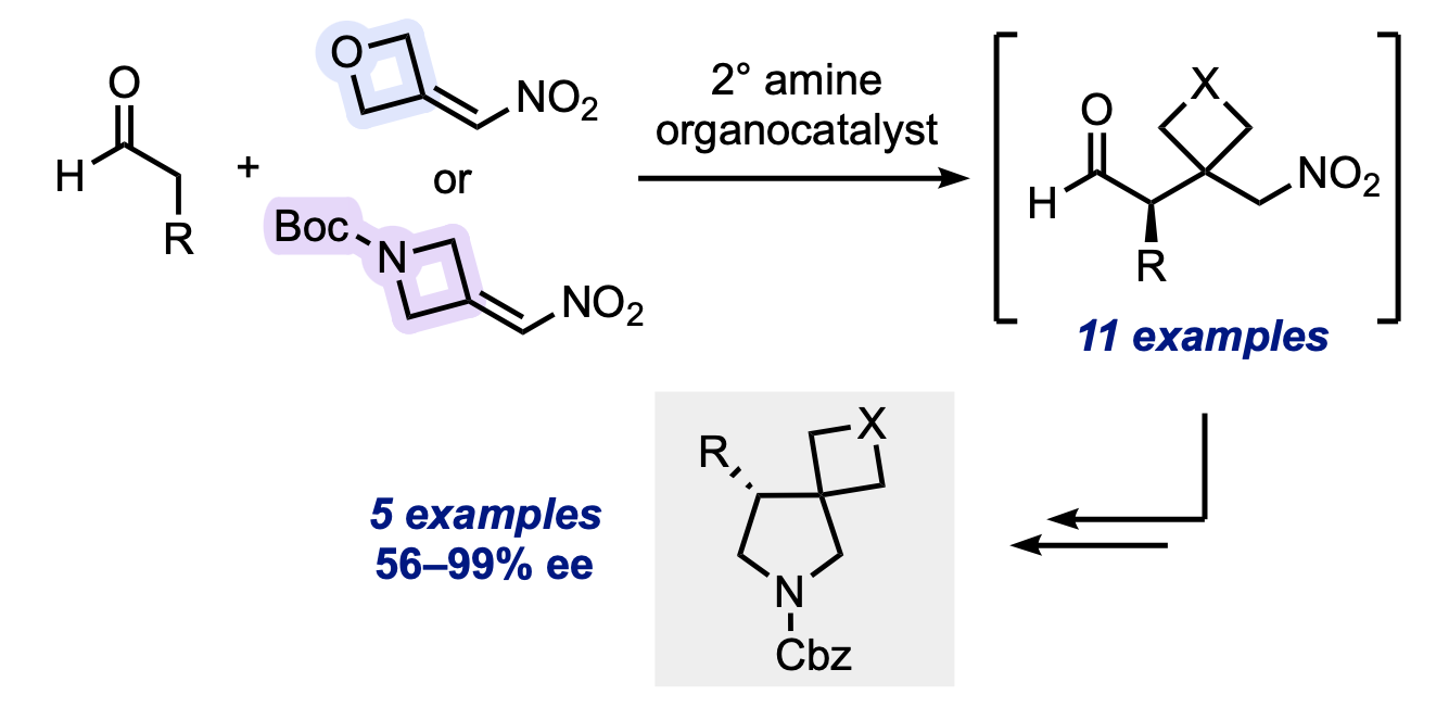 TOC oxetanes