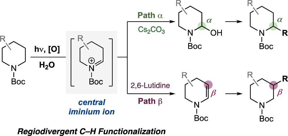 TOC photocatalytic oxidation