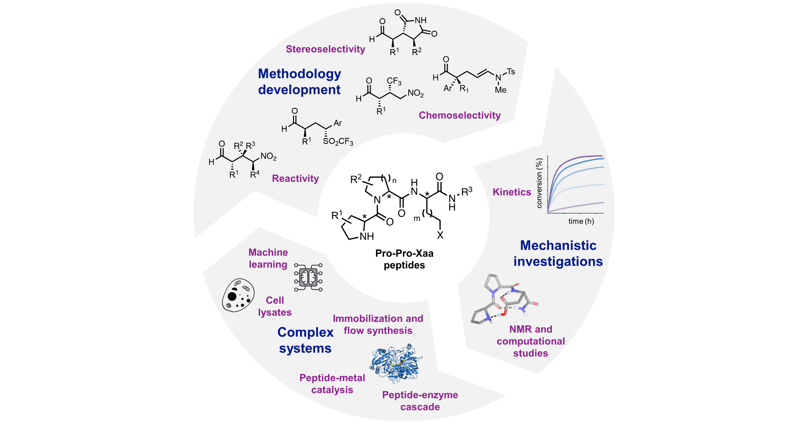 peptide catalysis