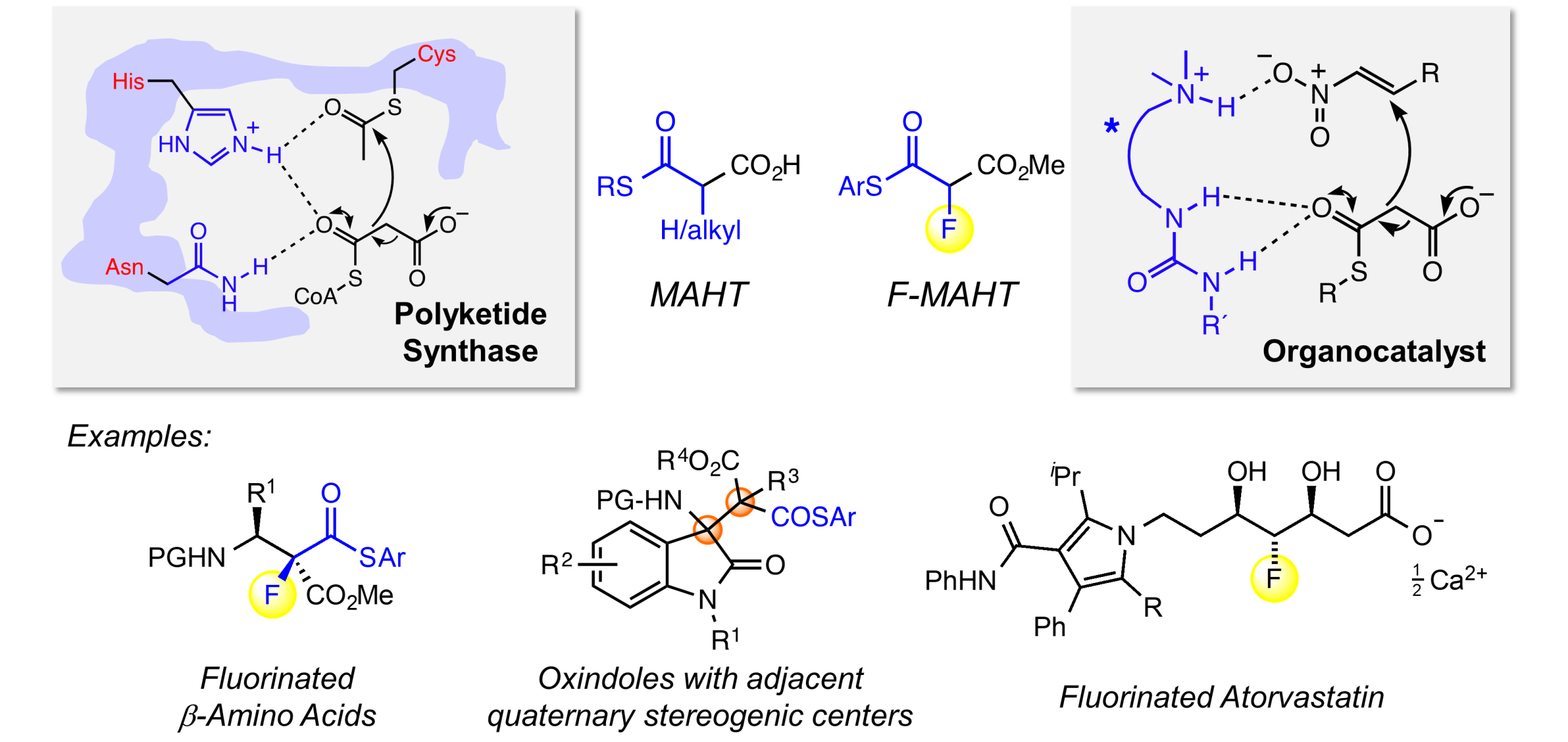 MAHT catalysis